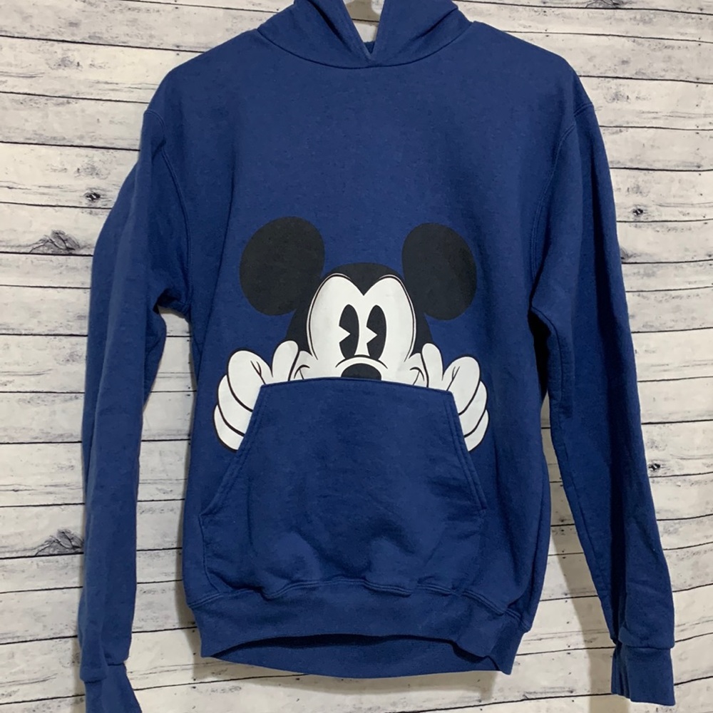 Walt Disney World  kids parks pull over hoodie sweatshirt